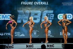 FIGURE OVERALL